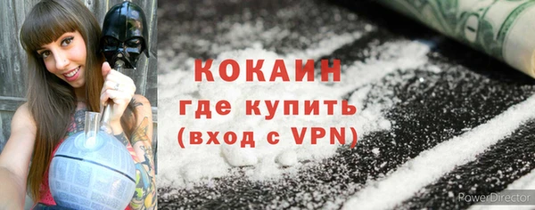 бошки Бронницы