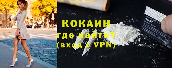 бошки Бронницы