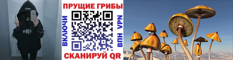 Купить  Междуреченск  Псилоцибиновые грибы мицелий 